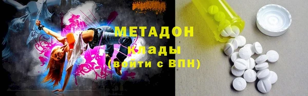 индика Алзамай