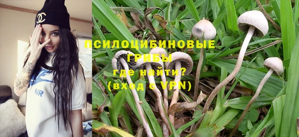 амф Болхов