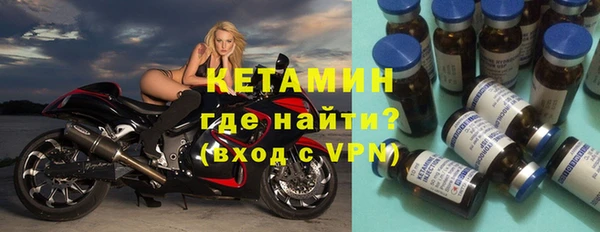 шишки Аркадак
