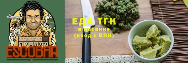 индика Алзамай