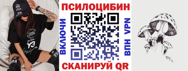 Галлюциногенные грибы Psilocybe  Бабаево 